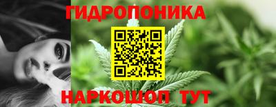 индика Бузулук